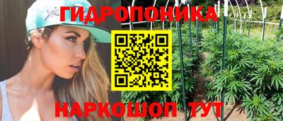 a pvp Тула