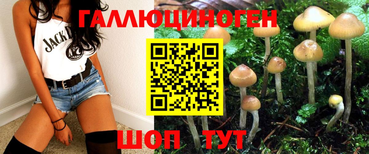 Галлюциногенные грибы Psilocybine cubensis  Псилоцибиновые грибы мицелий  Нерюнгри  Вход с VPN 