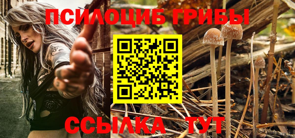 Псилоцибиновые грибы ЛСД Нерюнгри
